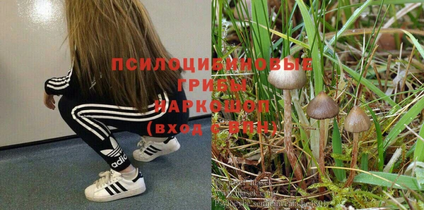 мескалин Аркадак