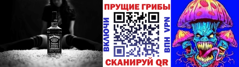 где купить наркоту  Кировск  Псилоцибиновые грибы мицелий 