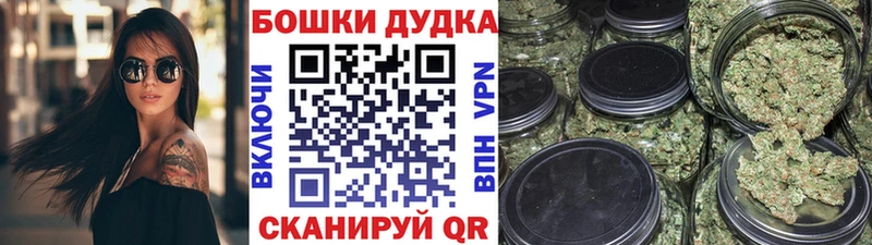 хочу Кировск Шишки марихуана марихуана